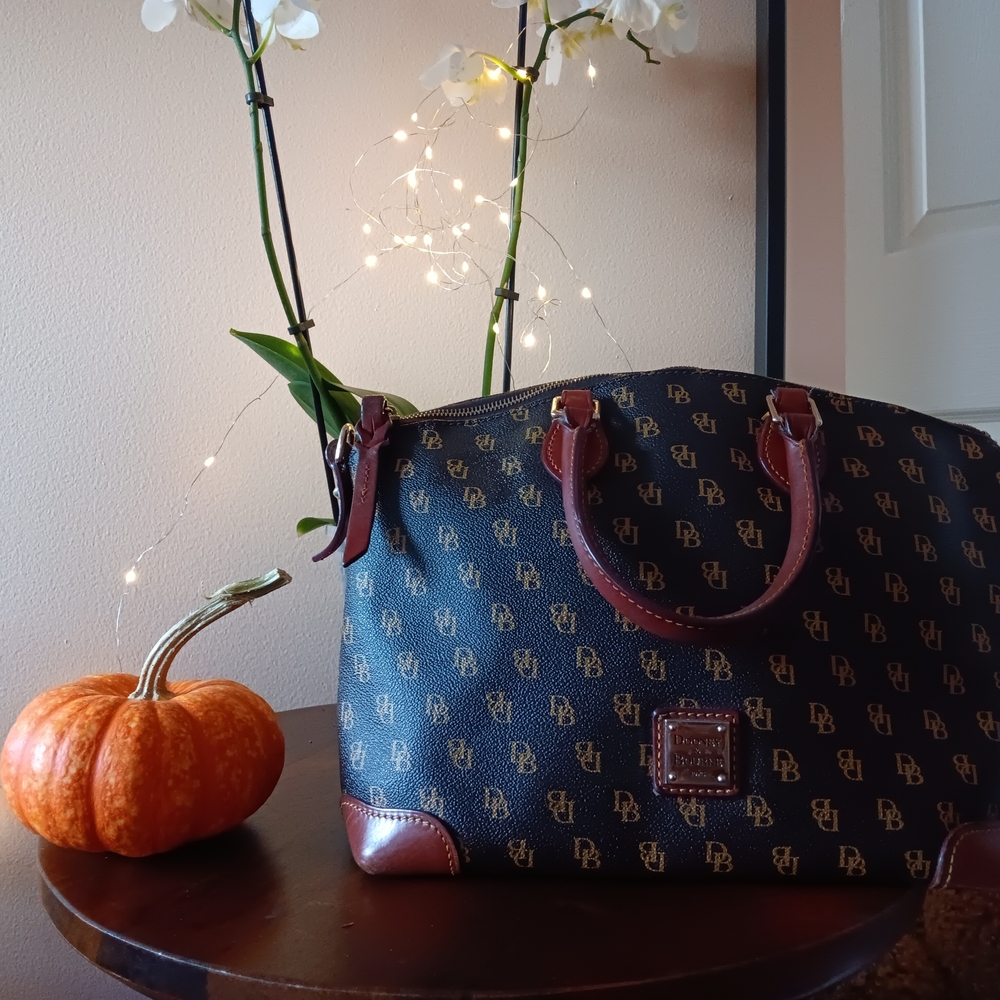 Dooney & Bourke Black and Brown Satchel